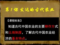 高中人教版 (新课标)发达的古代农业教案配套ppt课件