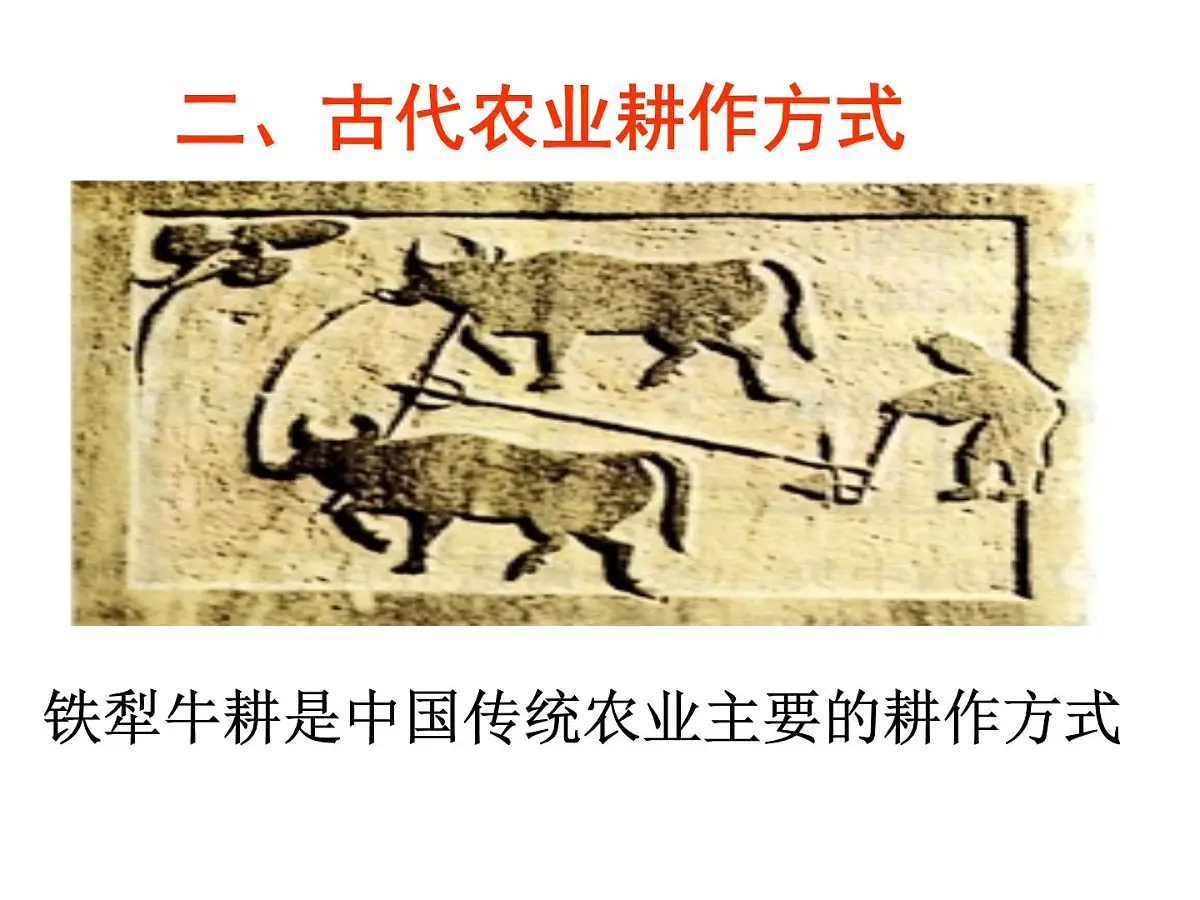 人教版 (新课标)高中历史必修2 第一单元古代中国经济的基本结构与特点复习课件第5页