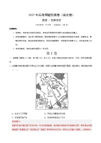 2025年高考押题预测卷：历史（湖北卷01）（解析版）