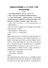 河南省商丘市商师联盟2024-2025学年高一下学期期中联考历史试题（解析版）