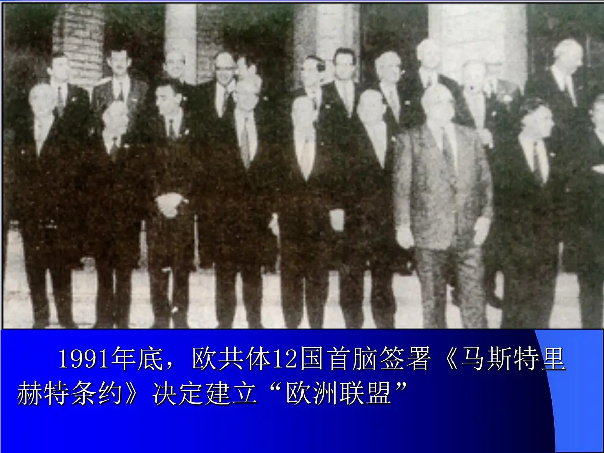 人教版 (新课标)高中历史必修2 8-23《世界经济的区域集团化》课件第7页