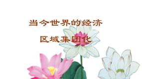 人教版 (新课标)必修2 经济史世界经济的区域集团化说课课件ppt