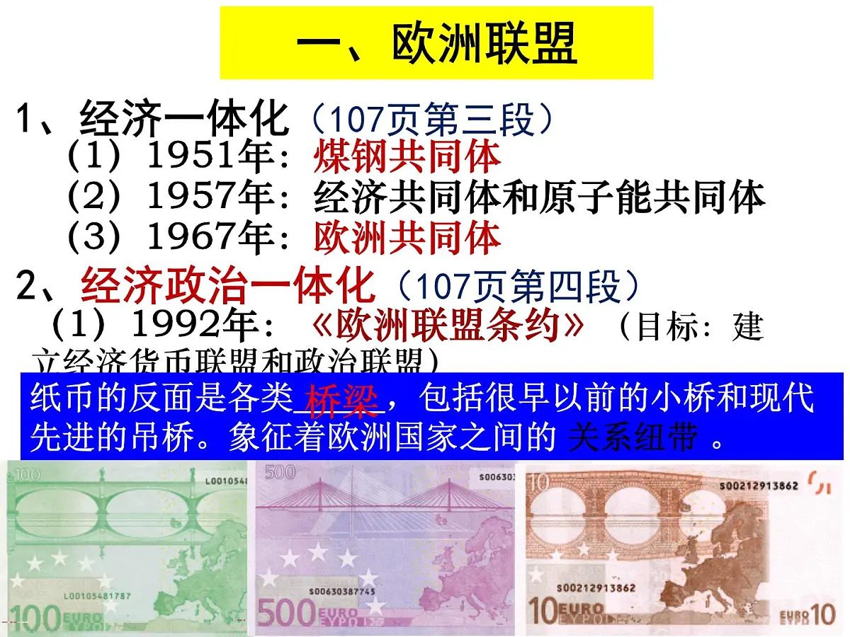 人教版 (新课标)高中历史必修2 8-23《世界经济的区域集团化》课件第8页