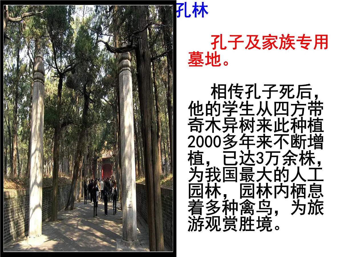人教版 (新课标)高中历史必修3 1-1《“百家争鸣”和儒家思想的形成》课件第5页