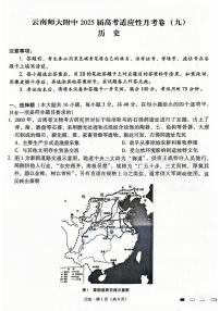 云南师大附中2025届高三下学期高考适应性月考卷（九）历史试题（PDF版附解析）