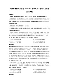 河南省青桐鸣大联考2024-2025学年高三下学期4月联考历史试题（解析版）