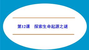 高中历史人教版 (新课标)必修3 文化史探索生命起源之谜多媒体教学课件ppt