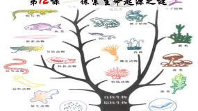 高中历史探索生命起源之谜授课ppt课件