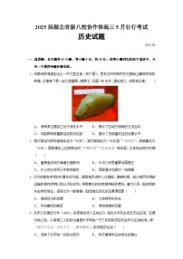 2025届湖北省新八校协作体高三5月壮行考试历史试题含答案