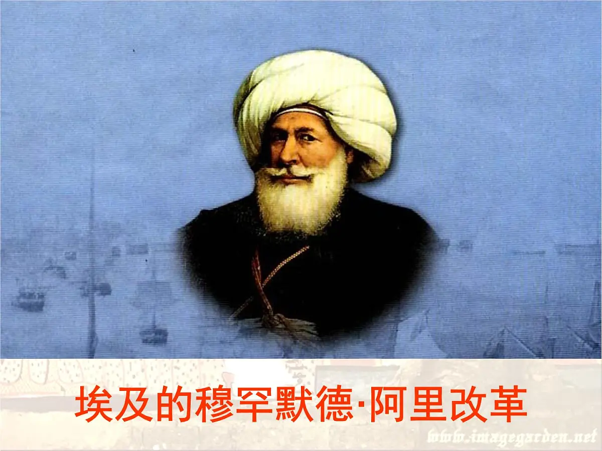 人教版 (新课标)高中历史选修1 6-1《18世纪末19世纪初的埃及》课件第2页