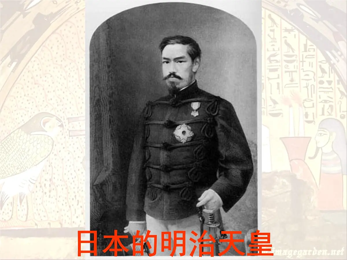 人教版 (新课标)高中历史选修1 6-1《18世纪末19世纪初的埃及》课件第3页