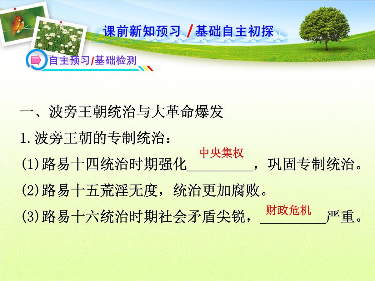 人教版 (新课标)高中历史选修2 3-2《法国《人权宣言》》探究型课件第4页