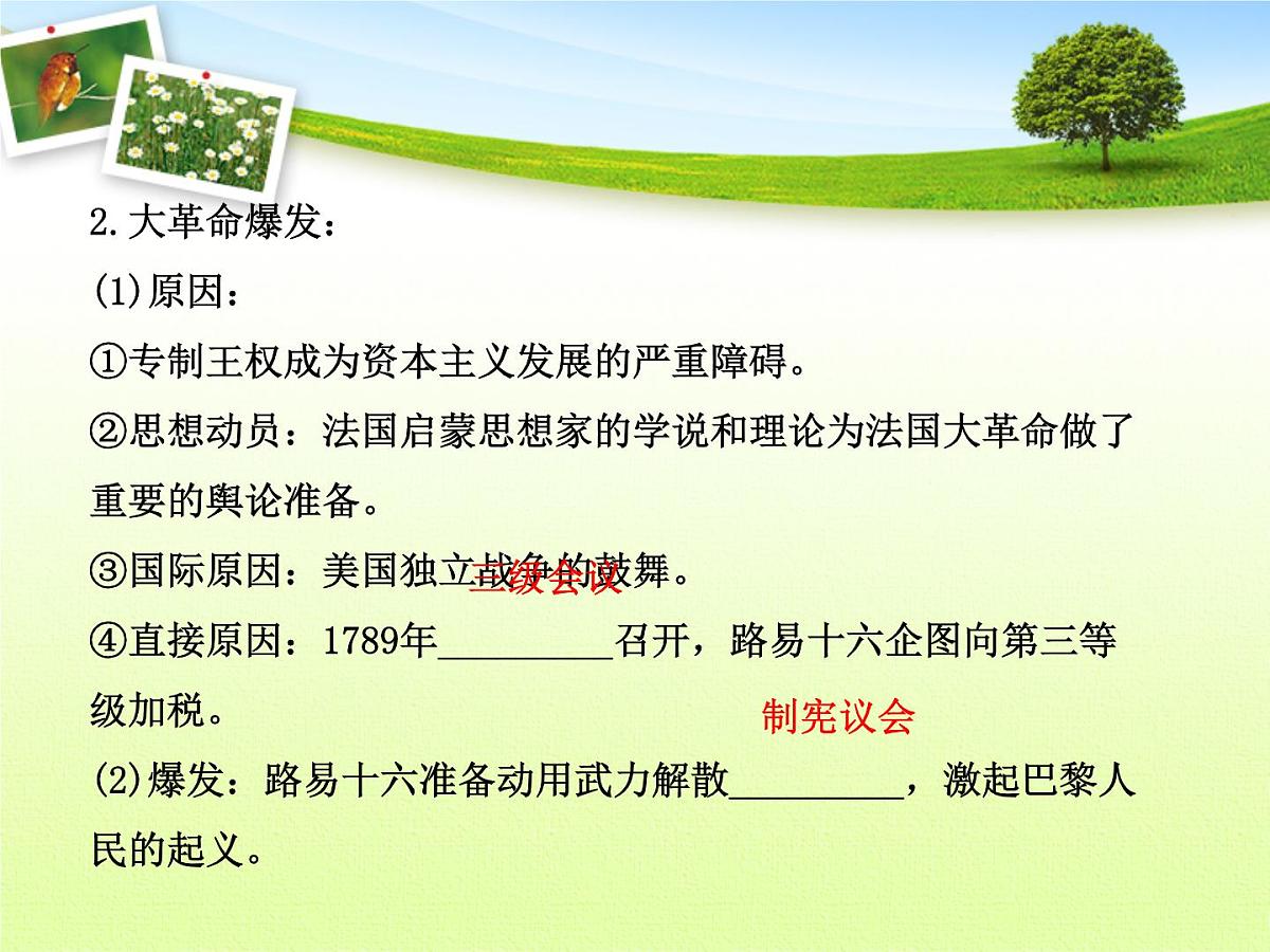 人教版 (新课标)高中历史选修2 3-2《法国《人权宣言》》探究型课件第5页