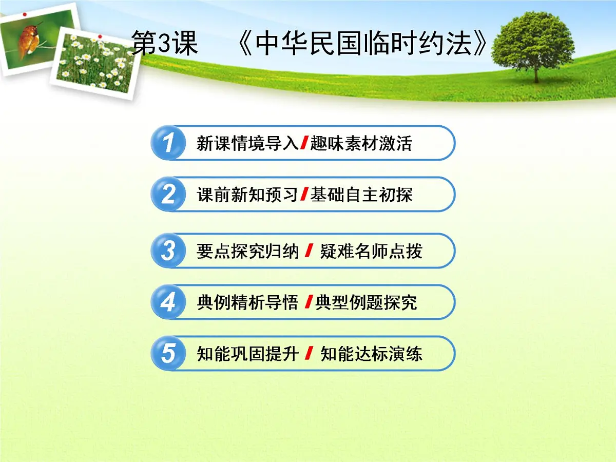 人教版 (新课标)高中历史选修2 3-3《中华民国临时约法》探究型课件第1页