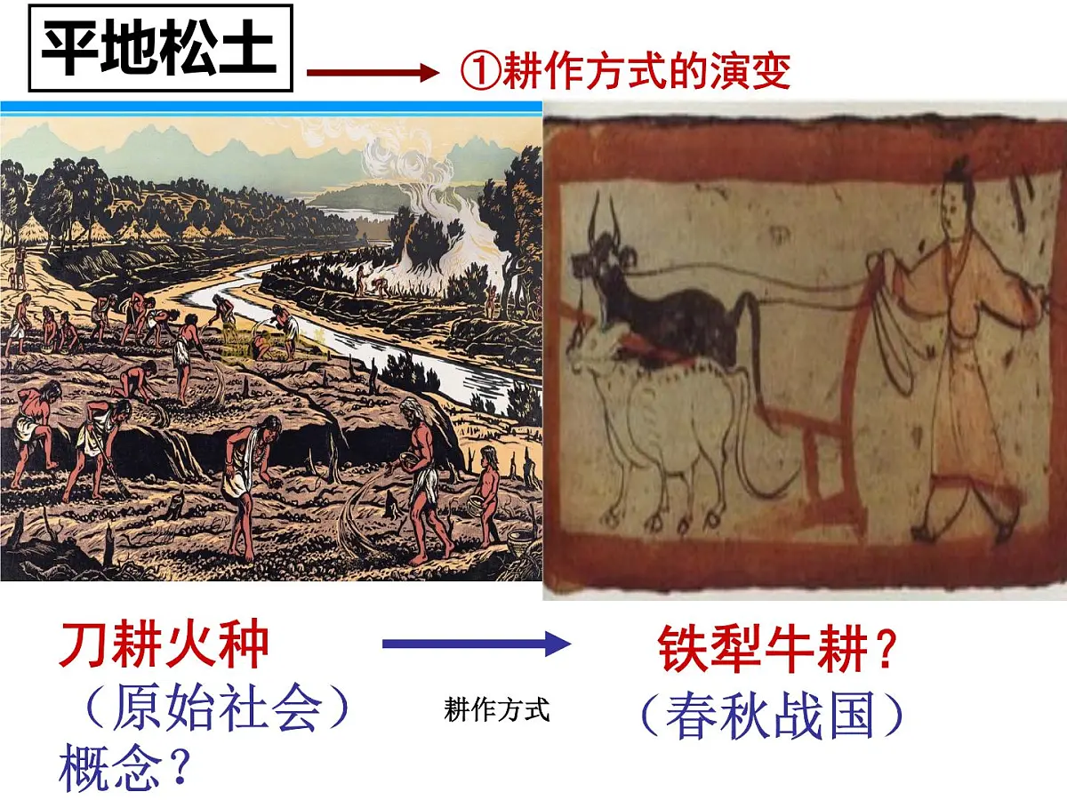 人民版高中历史必修2 1-1《古代中国的农业经济》课件第4页