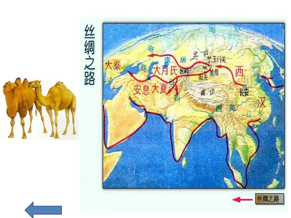 人民版高中历史必修2 1-3《古代中国的商业经济》课件第5页