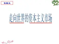 人民版高中历史必修2 5-2《血与火的征服与掠夺》课件