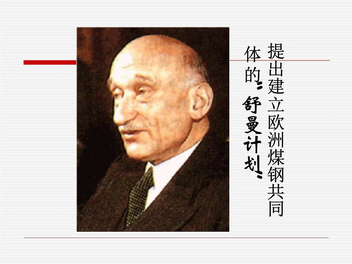 人民版高中历史必修2 8-2《当今世界经济区域集团化的发展》课件第8页