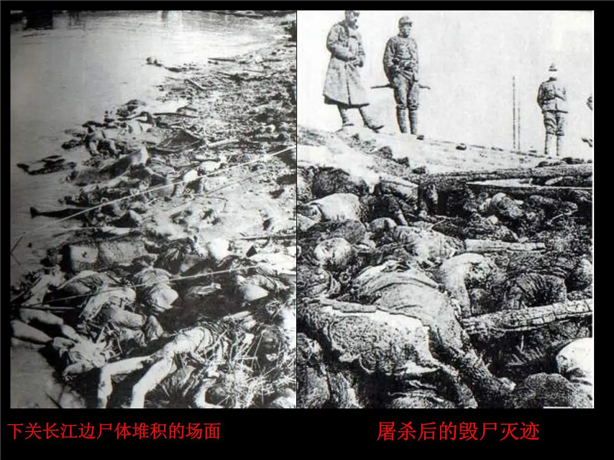人民版高中历史必修1 2-3《伟大的抗日战争》课件第5页