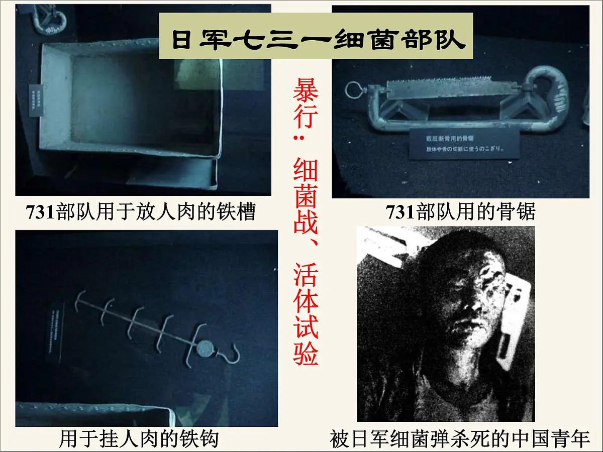 人民版高中历史必修1 2-3《伟大的抗日战争》课件第8页