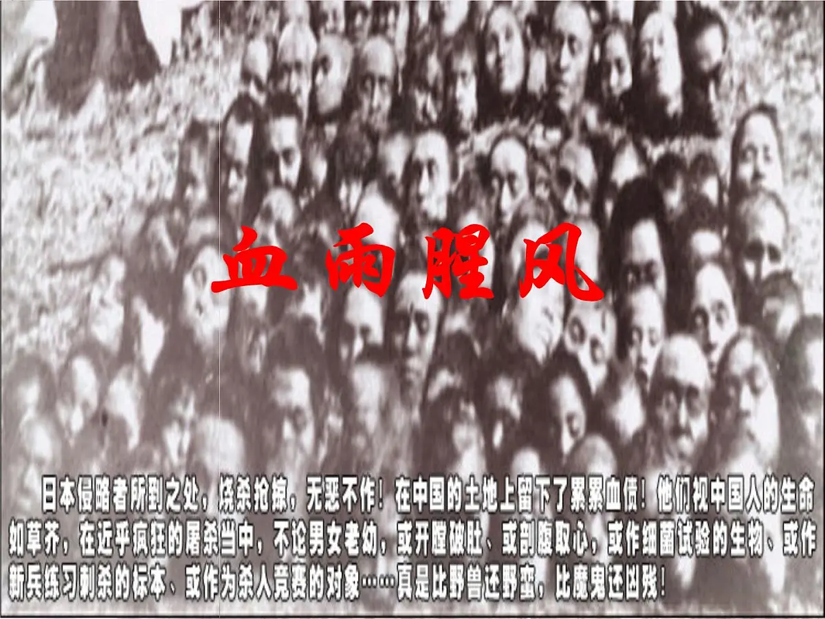 人民版高中历史必修1 2-3《伟大的抗日战争》课件第7页