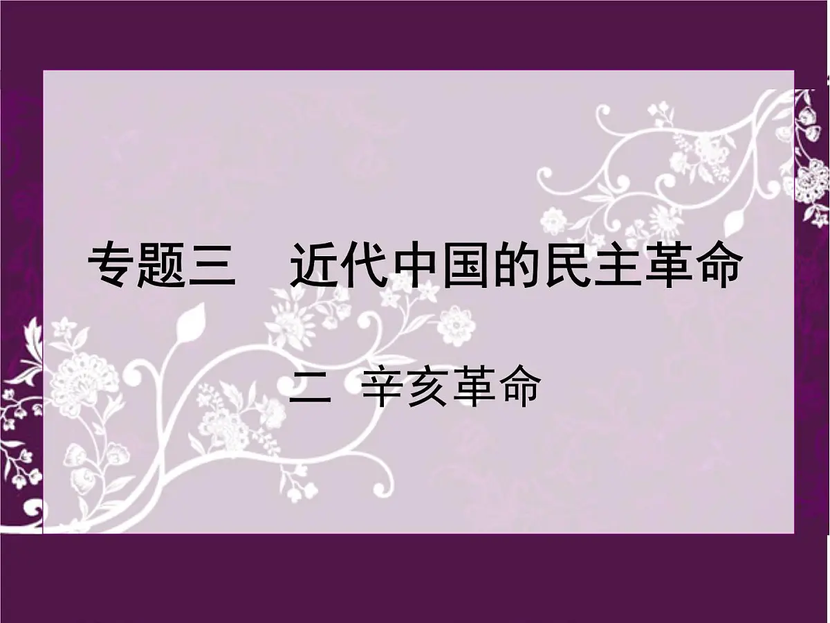 人民版高中历史必修1 3-2《辛亥革命》课件第2页