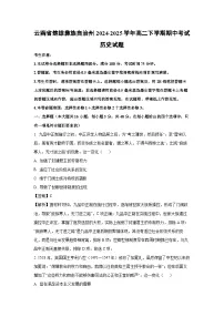 云南省楚雄彝族自治州2024-2025学年高二下学期期中考试历史试卷(解析版)