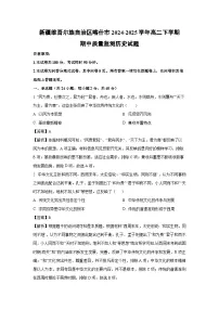 新疆维吾尔族自治区喀什市2024-2025学年高二下学期期中质量监测历史试卷(解析版)