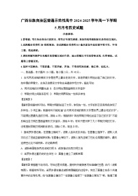 广西壮族自治区普通示范性高中2024-2025学年高一下学期下5月月考历史试卷（解析版）