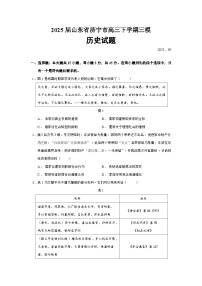 2025届山东省济宁市高三下学期三模历史试题（含答案）