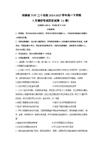 历史：河南省TOP二十名校2024-2025学年高一下学期5月调研考试试卷（A卷）（解析版）