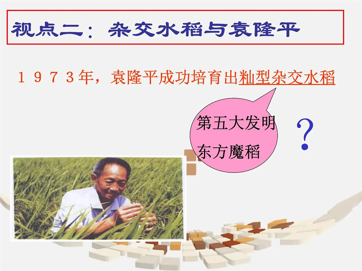 人民版高中历史必修3 5-3《科学技术的发展与成就》探究引导课件第8页