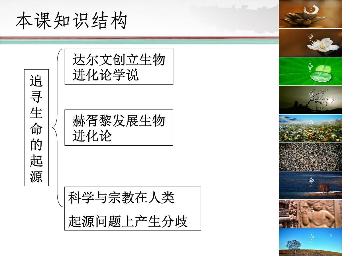 人民版高中历史必修3 7-2《追寻生命的起源》课件第4页