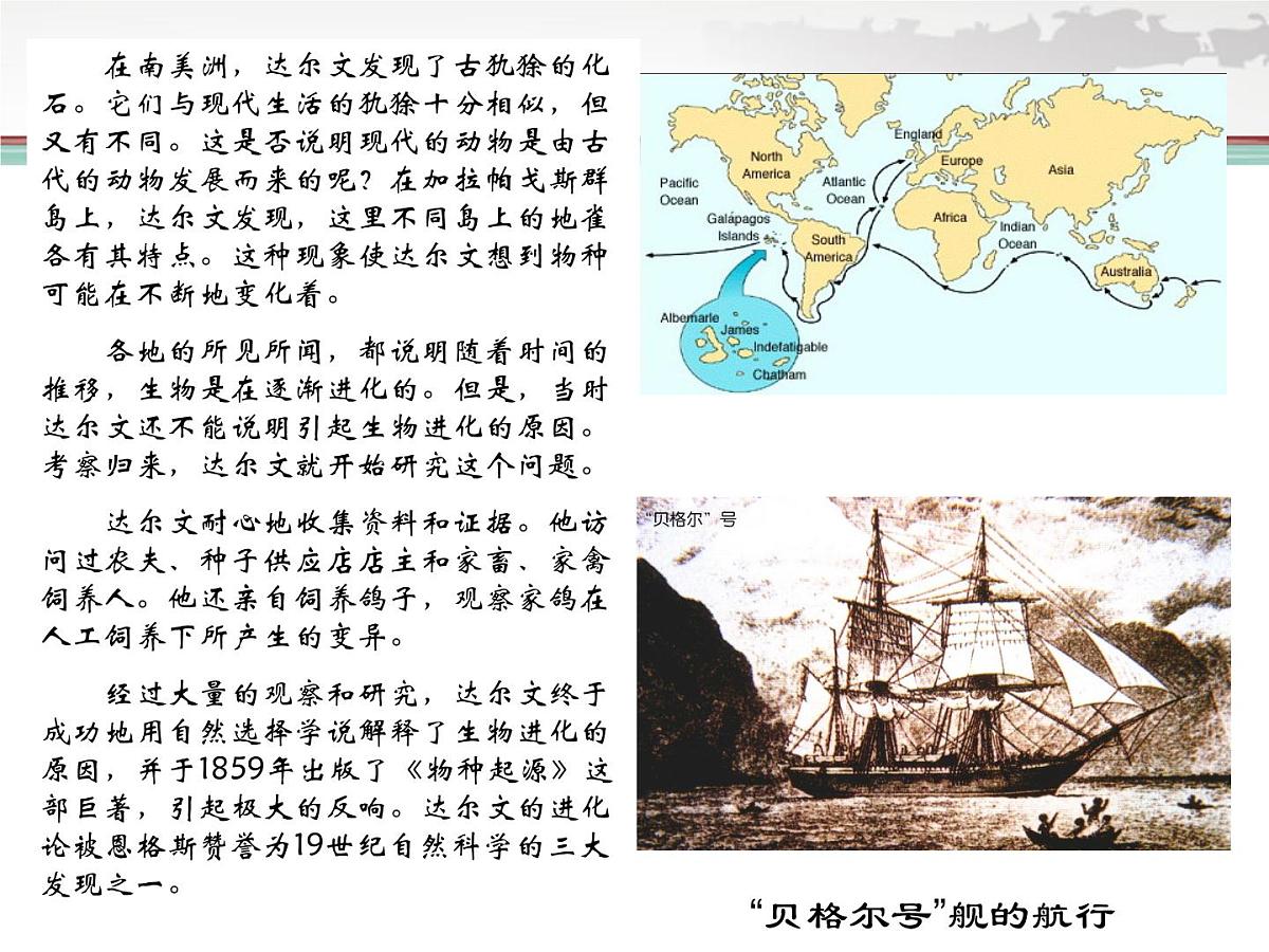 人民版高中历史必修3 7-2《追寻生命的起源》课件第8页