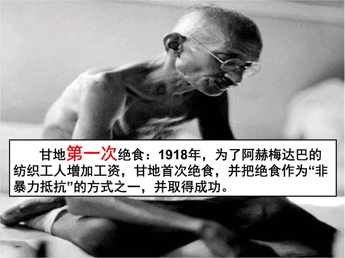 人民版高中历史选修4 4-3《圣雄甘地》课件第3页
