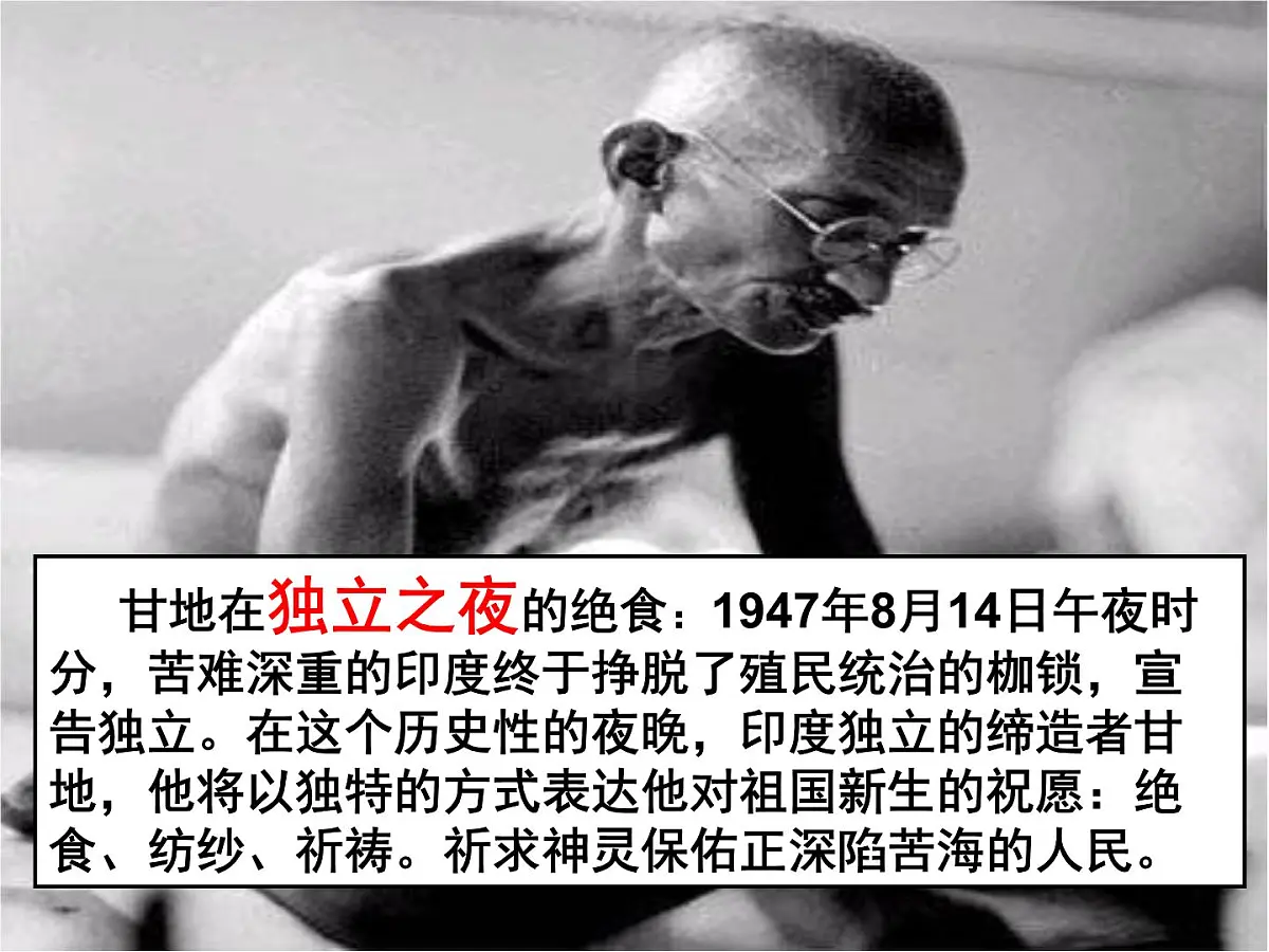 人民版高中历史选修4 4-3《圣雄甘地》课件第5页