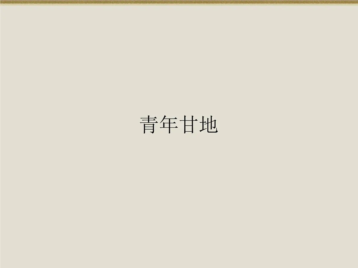 人民版高中历史选修4 4-3《圣雄甘地》课件第3页