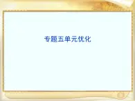 人民版高中歷史選修1 專題五《歐洲宗教改革》單元優(yōu)化發(fā)現(xiàn)課件