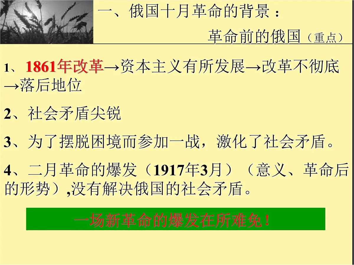 岳麓版高中历史必修1 5-19《俄国十月社会主义革命》课件第8页