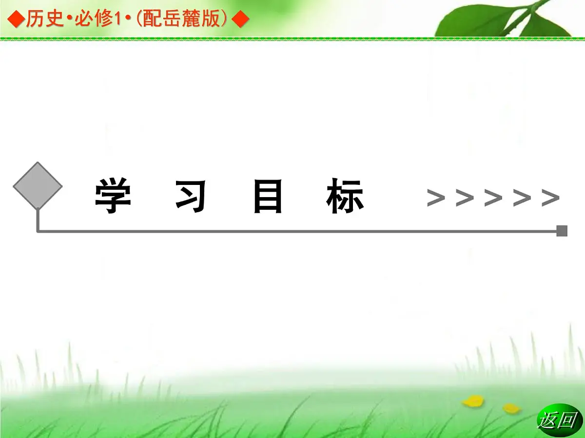 岳麓版高中历史必修1 5-20《新民主主义革命与中国共产党》课件第2页
