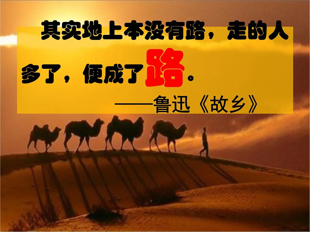 课件—岳麓版高中历史必修2 2-7《新航路的开辟》第3页