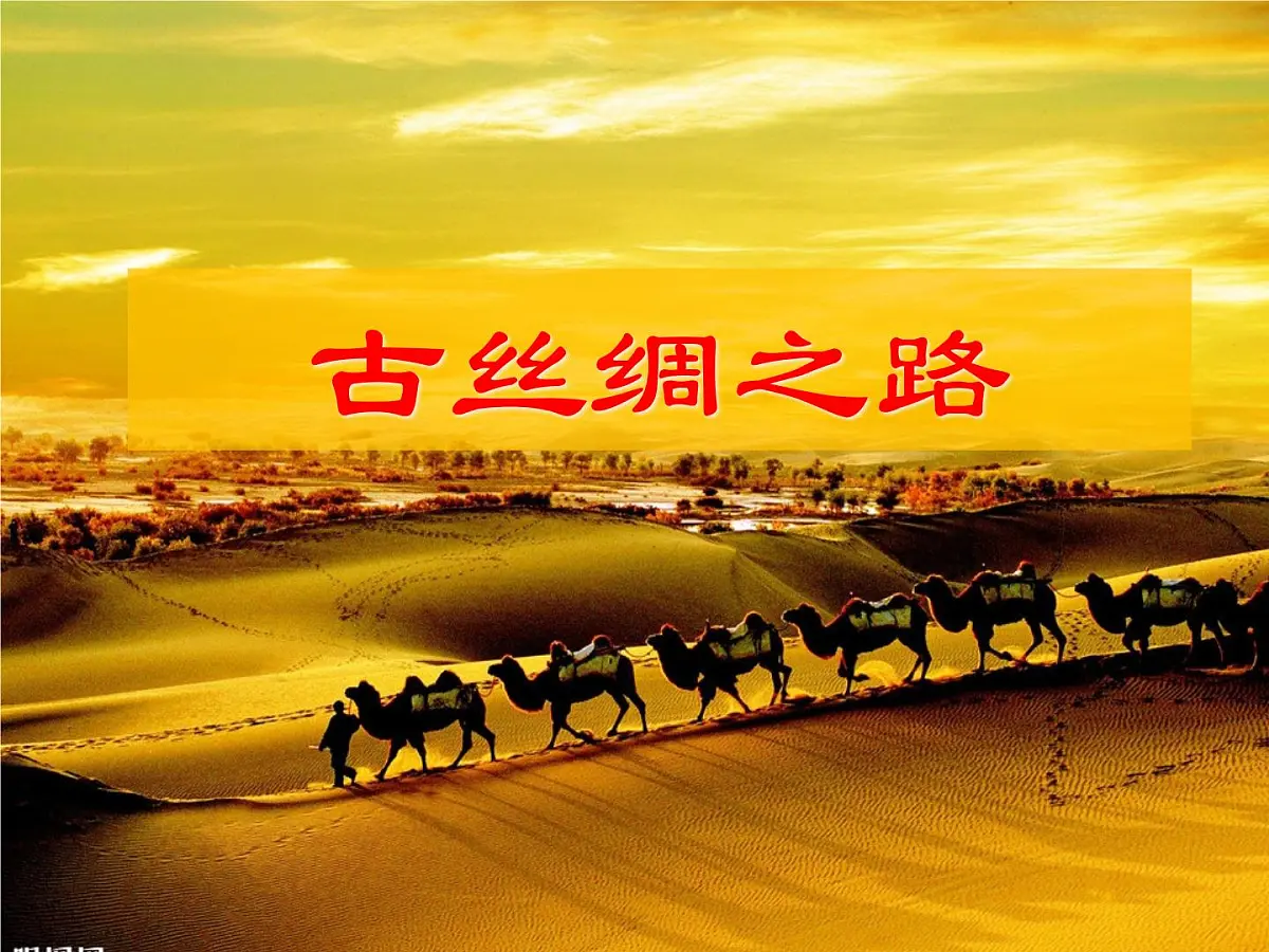 课件—岳麓版高中历史必修2 2-7《新航路的开辟》第4页