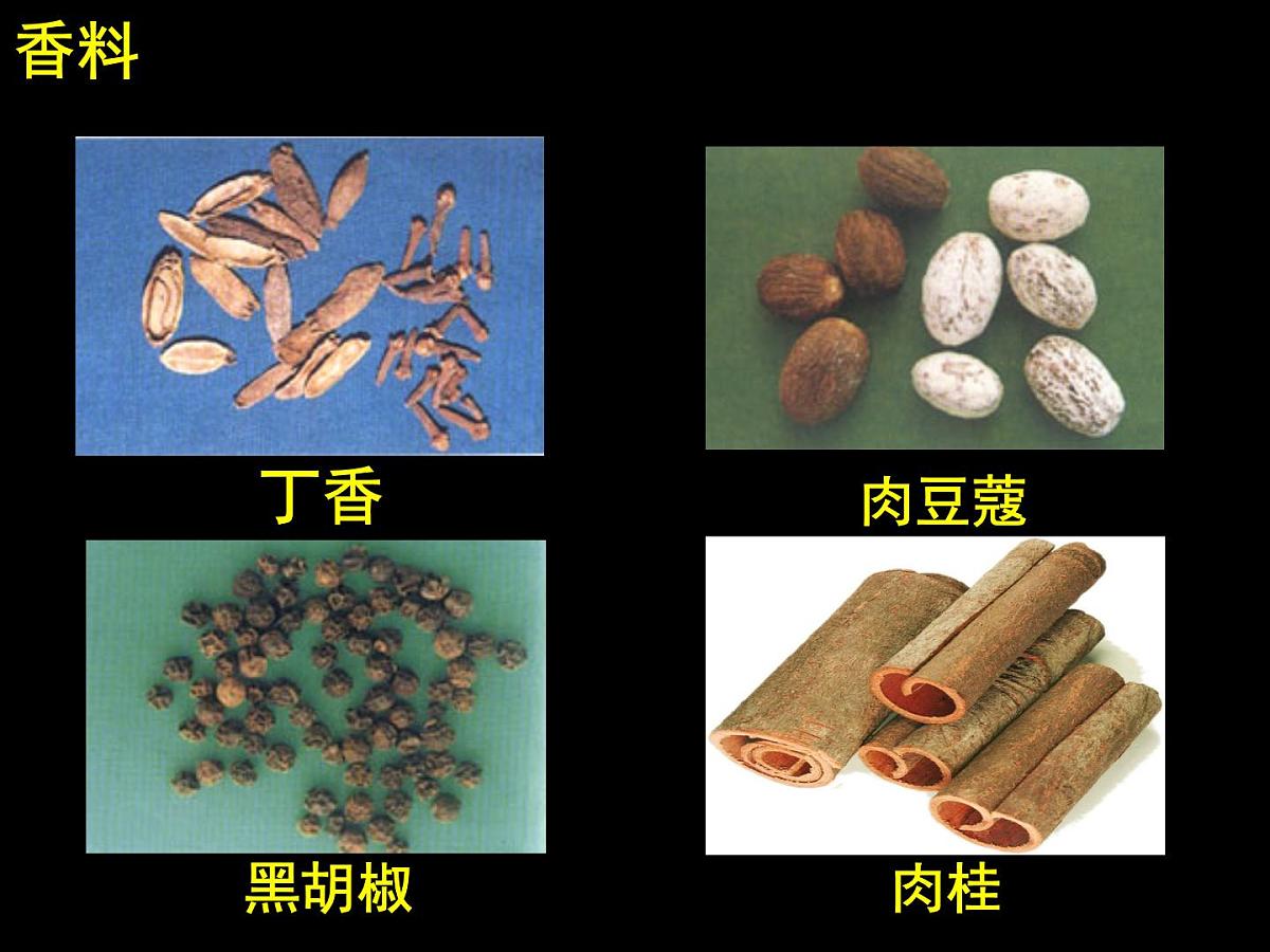 课件—岳麓版高中历史必修2 2-7《新航路的开辟》第8页