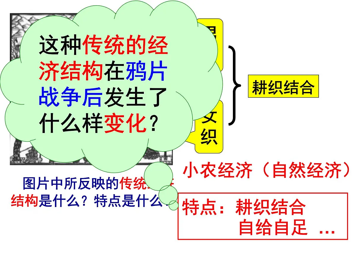岳麓版高中历史必修2 2-10《近代中国社会经济结构的变动》课件第7页