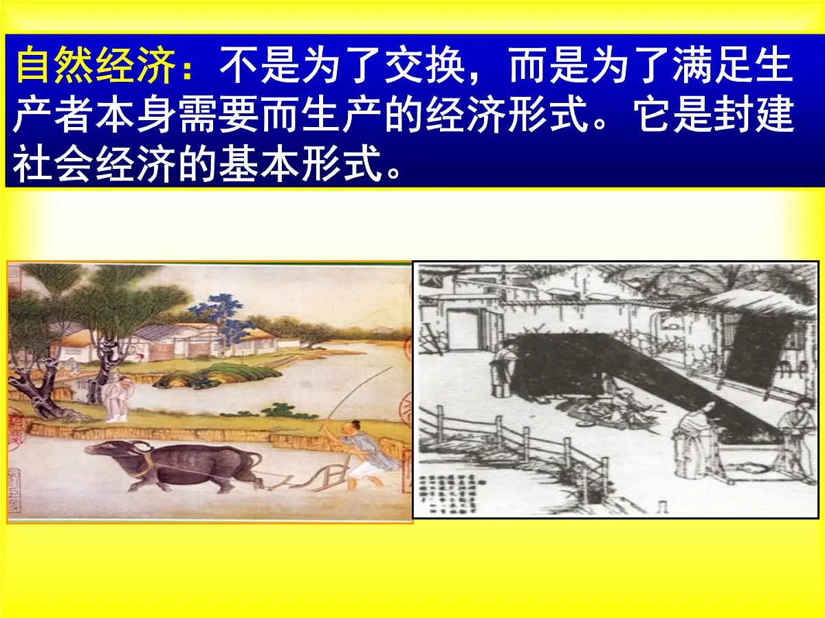 岳麓版高中历史必修2 2-10《近代中国社会经济结构的变动》课件第6页