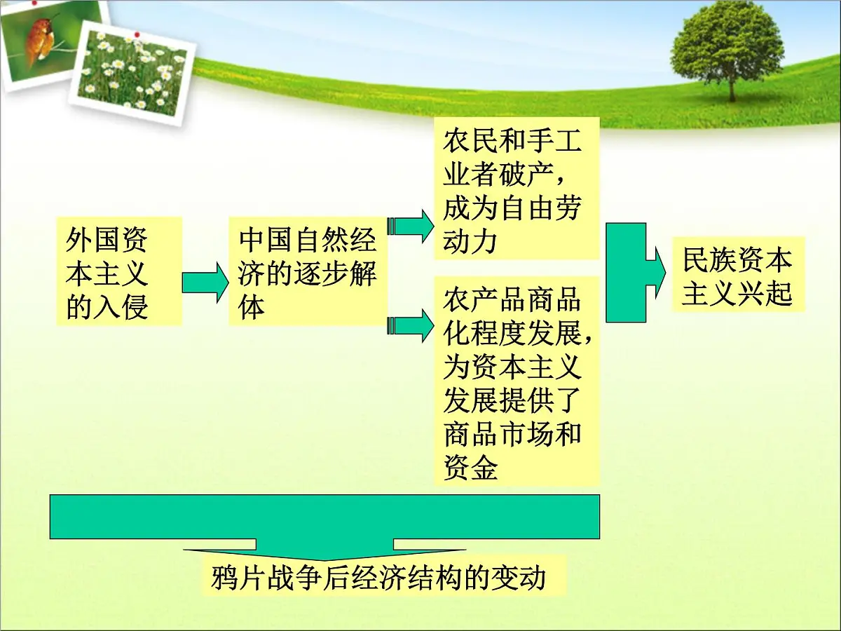 岳麓版高中历史必修2 2-11《民国时期民族工业的曲折发展》课件第8页