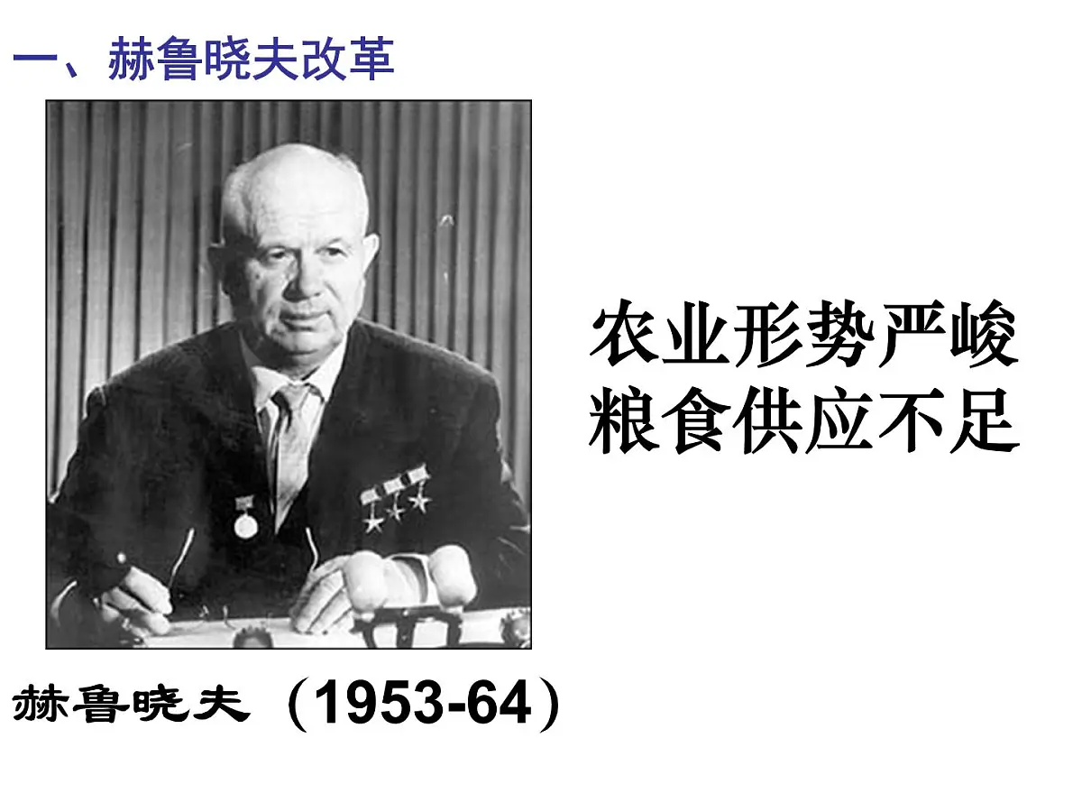 岳麓版高中历史必修2 3-17《苏联的经济改革》课件第2页
