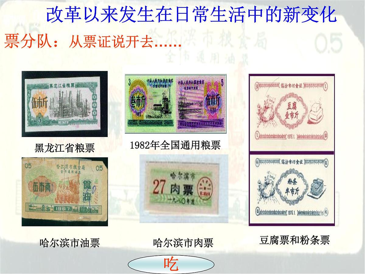 课件—岳麓版高中历史必修2 4-22《综合探究:调查改革以来发生在日常生活中的新变化》第8页