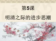 岳麓版高中历史必修3 1-5《明清之际的进步思潮》课件