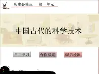 课件—岳麓版高中历史必修3 1-6《中国古代的科学技术》